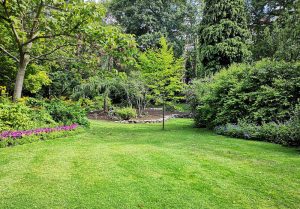 Optimiser l'expérience du jardin à Sorel-en-Vimeu